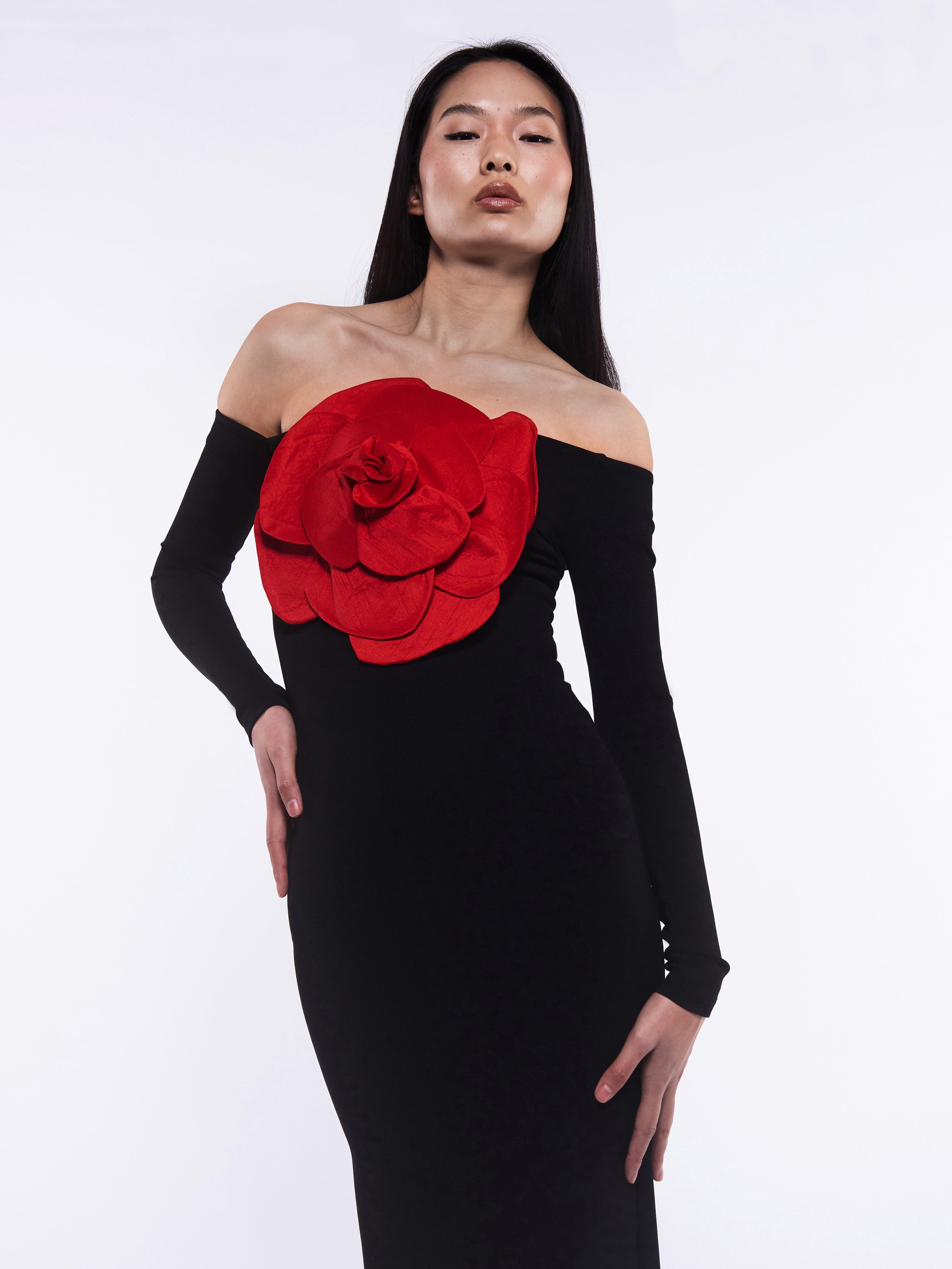 Long black dress 2025 with red roses